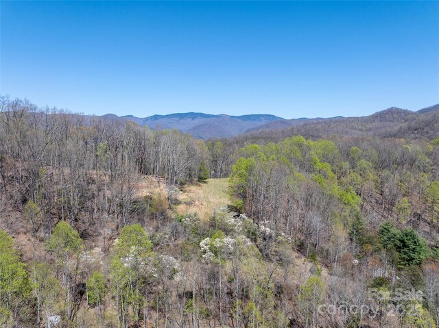 318 Brown Mountain Dr, Cullowhee, NC 28723