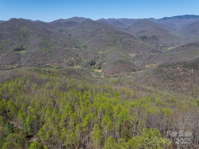 318 Brown Mountain Dr, Cullowhee, NC 28723