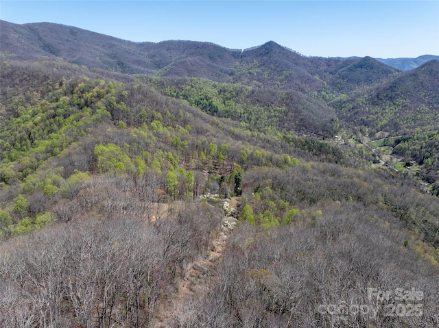318 Brown Mountain Dr, Cullowhee, NC 28723