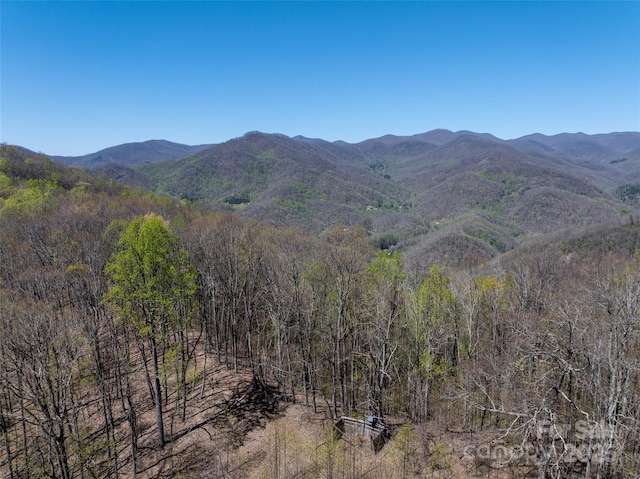 318 Brown Mountain Dr, Cullowhee, NC 28723