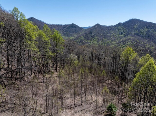 318 Brown Mountain Dr, Cullowhee, NC 28723