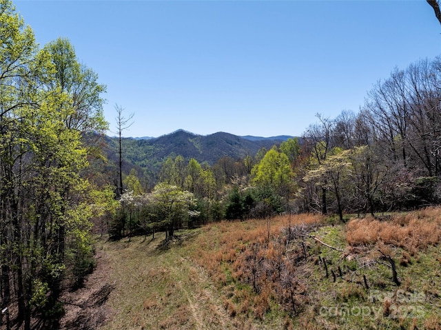 318 Brown Mountain Dr, Cullowhee, NC 28723