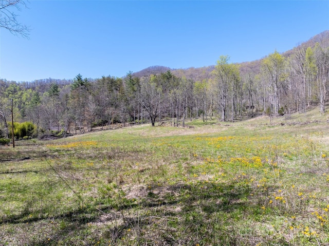 318 Brown Mountain Dr, Cullowhee, NC 28723