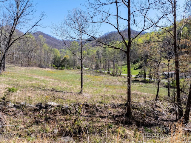 318 Brown Mountain Dr, Cullowhee, NC 28723