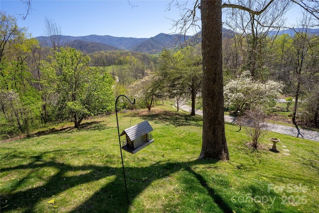 view of home's community featuring a mountain view, a yard, and a forest view