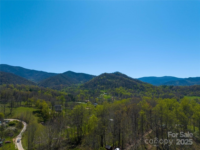 mountain view with a heavily wooded area