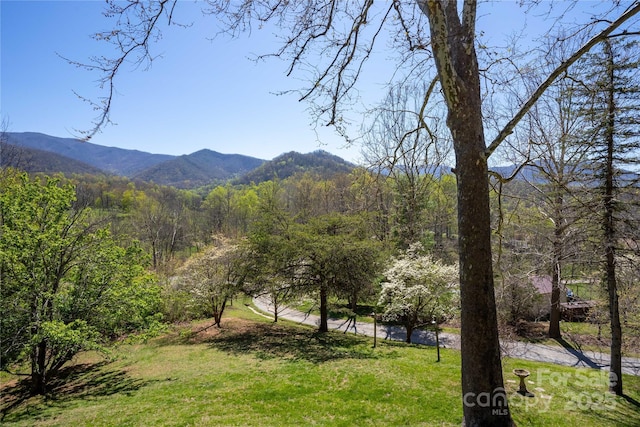 view of mountain backdrop with a forest