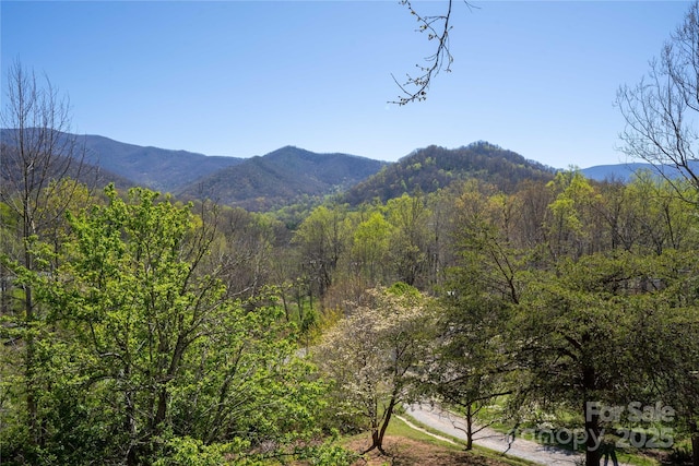 mountain view with a forest