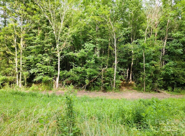00 Jason Rd, Star, NC 27356