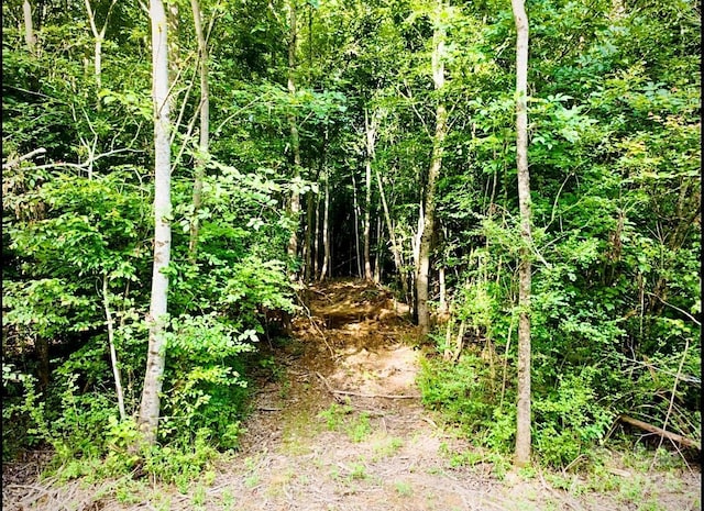 00 Jason Rd, Star, NC 27356