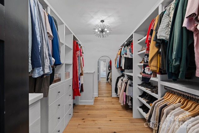 spacious closet featuring light wood finished floors