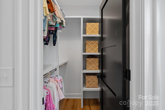 walk in closet with wood finished floors
