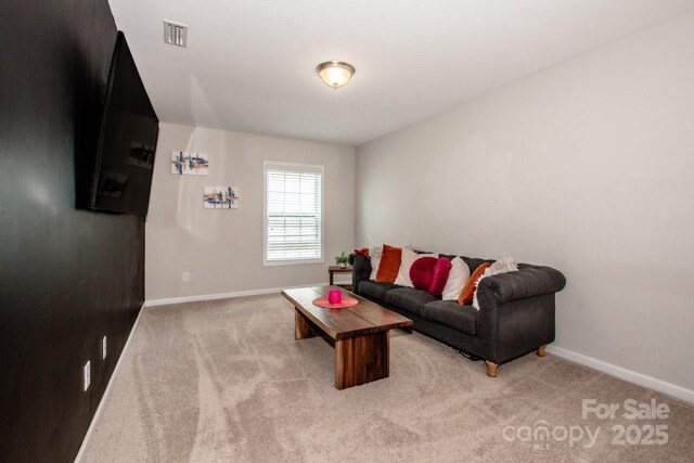 10707 Charmont Pl, Huntersville, NC 28078 - living area with baseboards and light carpet
