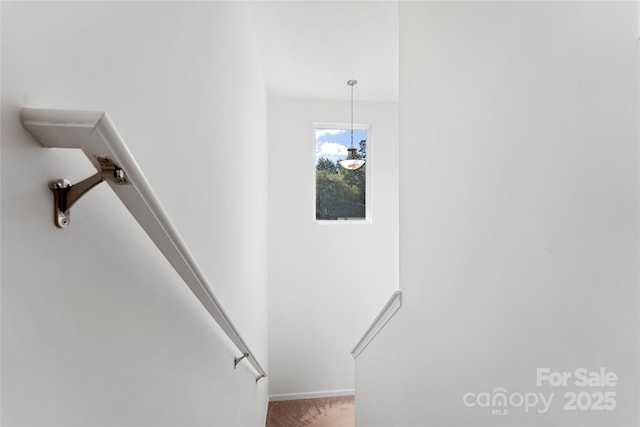 548 Dutch White Dr, Clover, SC 29710 - stairway featuring carpet and baseboards