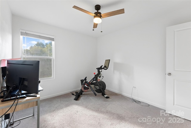 548 Dutch White Dr, Clover, SC 29710 - workout room featuring ceiling fan, carpet, and baseboards