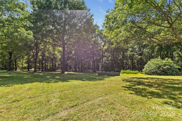 5317 Friendly Baptist Ch Rd, Indian Trail, NC 28079 - photo 26