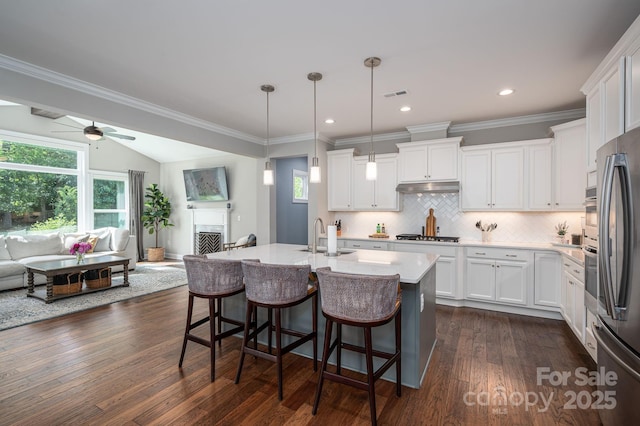 3017 Winged Teal Ct, Belmont, NC 28012 - kitchen with a sink, visible vents, under cabinet range hood, open floor plan, and white cabinets