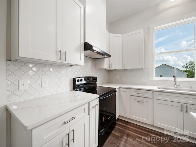 kitchen featuring electric range, under cabinet range hood, a sink, and plenty of natural light