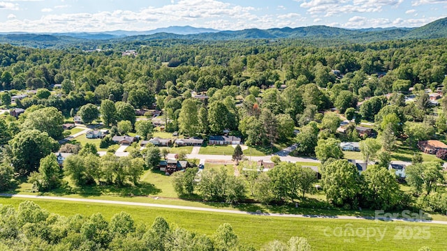 bird's eye view of mountains and a forest