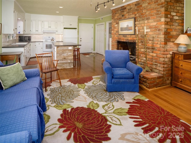 living area featuring wood finished floors, ornamental molding, and a fireplace