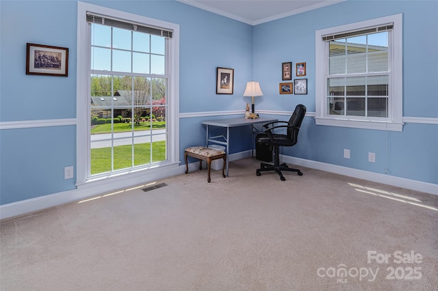 office space with crown molding, carpet, plenty of natural light, and baseboards