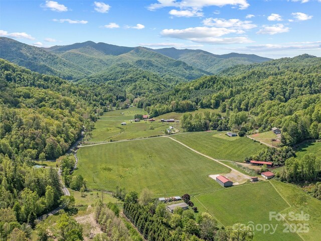 124 Shootout Ln, Burnsville, NC 28714 - photo 14