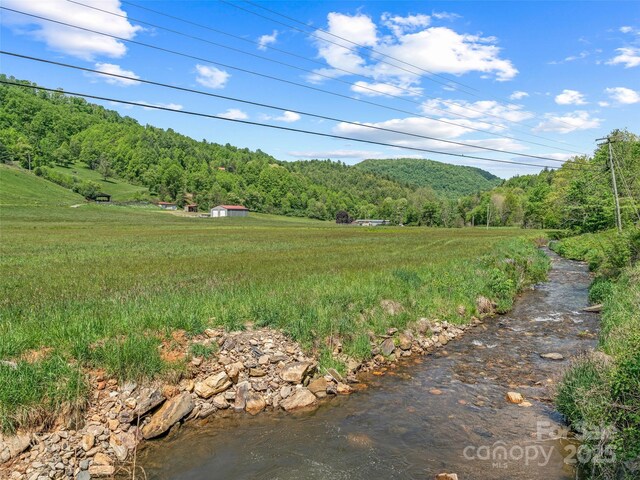 124 Shootout Ln, Burnsville, NC 28714 - photo 17