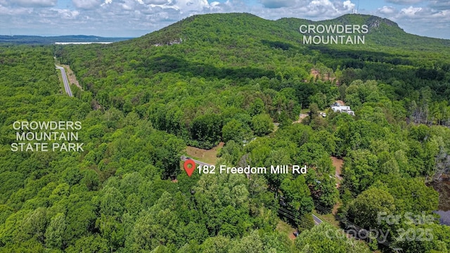 182 Freedom Mill Rd, Gastonia, NC 28052 - bird's eye view with a wooded view and a mountain view