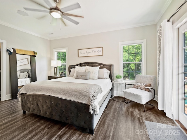 bedroom with wood finished floors and multiple windows