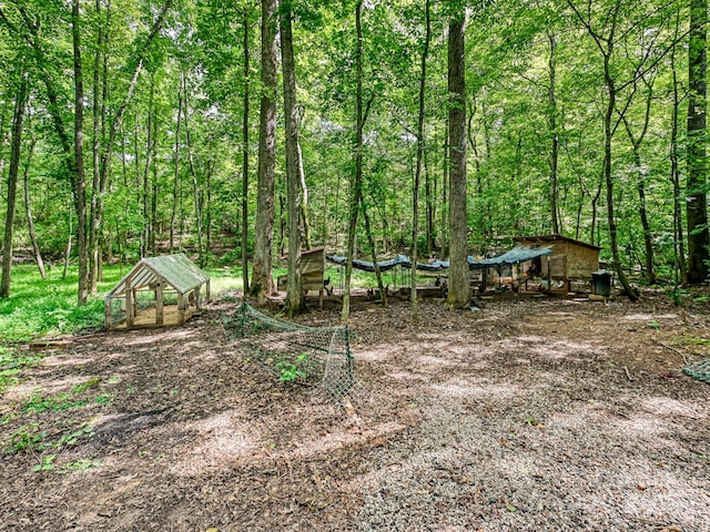 view of yard featuring an outdoor structure and a forest view