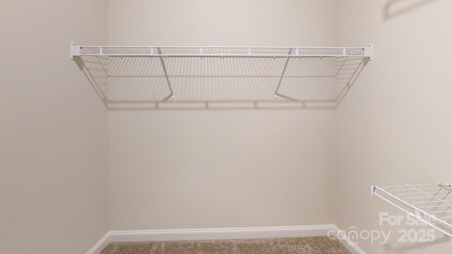 606 Banter Ln Unit 30, Cramerton, NC 28032 - walk in closet featuring carpet