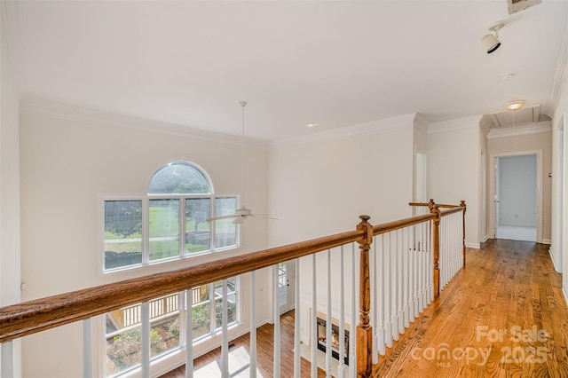 12004 Willingdon Rd, Huntersville, NC 28078 - photo 28