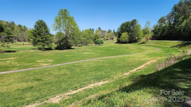 3190 Holly Rd, Connelly Springs, NC 28612 - view of property's community featuring a yard and view of scattered trees
