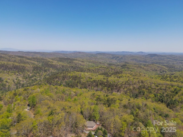 3190 Holly Rd, Connelly Springs, NC 28612 - bird's eye view of a heavily wooded area