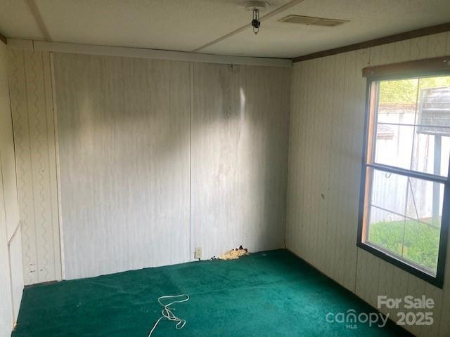 314 Phillips Dr, Forest City, NC 28043 - carpeted empty room with wooden walls