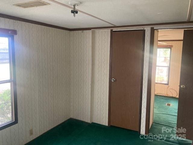 314 Phillips Dr, Forest City, NC 28043 - carpeted empty room featuring plenty of natural light and wood walls