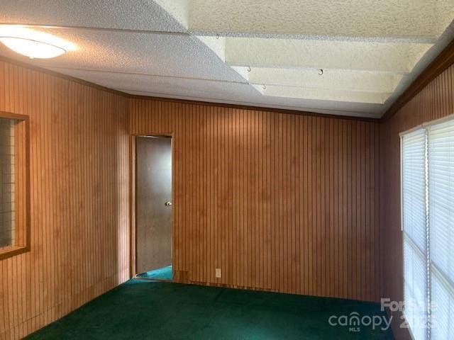 314 Phillips Dr, Forest City, NC 28043 - unfurnished room with carpet flooring and wooden walls