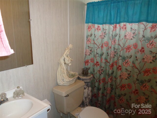 314 Phillips Dr, Forest City, NC 28043 - full bathroom featuring a sink, toilet, and curtained shower