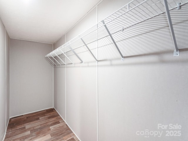 walk in closet featuring wood finished floors