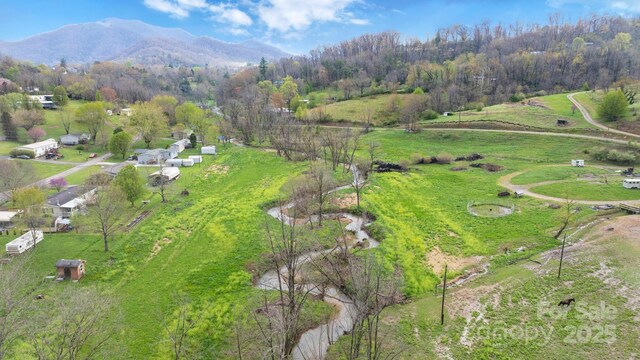 618 Beaverdam St, Canton, NC 28716