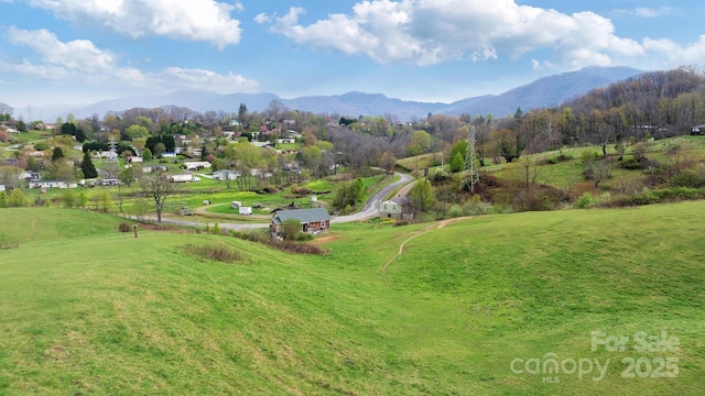 618 Beaverdam St, Canton, NC 28716