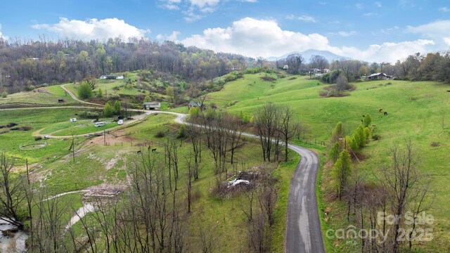 618 Beaverdam St, Canton, NC 28716