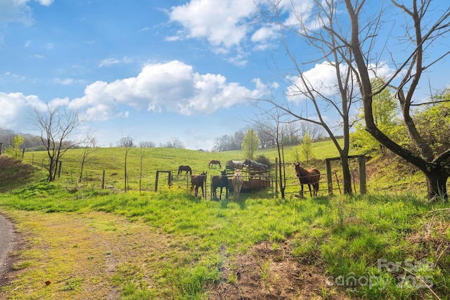 618 Beaverdam St, Canton, NC 28716