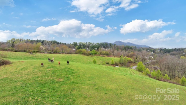 618 Beaverdam St, Canton, NC 28716