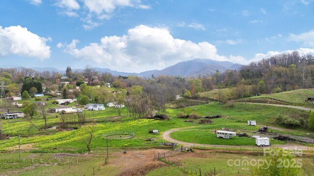 618 Beaverdam St, Canton, NC 28716