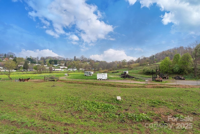 618 Beaverdam St, Canton, NC 28716