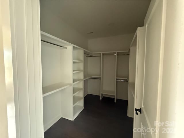 walk in closet with dark wood-style floors