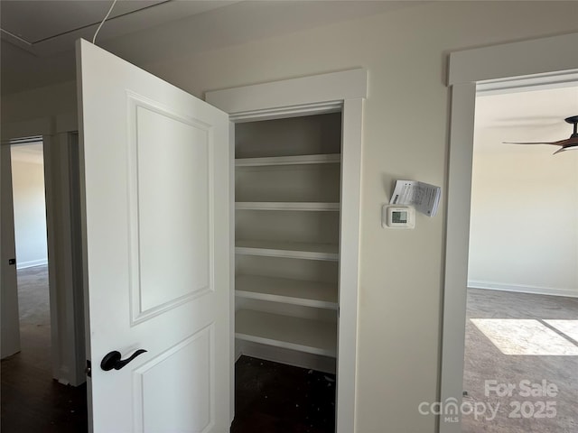 view of closet