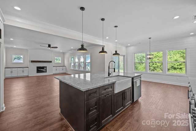 4040 Daugherty Rd, China Grove, NC 28023 - kitchen with stainless steel dishwasher, dark wood-style floors, recessed lighting, a ceiling fan, and a large fireplace