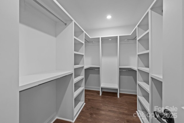 4040 Daugherty Rd, China Grove, NC 28023 - walk in closet with dark wood finished floors